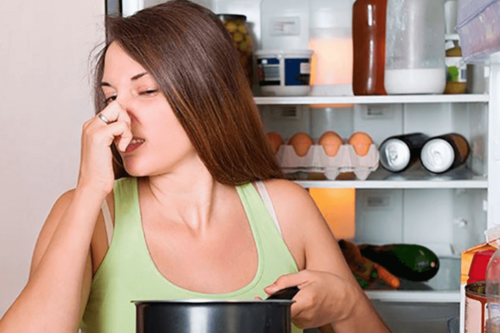 Thực phẩm nóng không nên cho ngay vào tủ lạnh