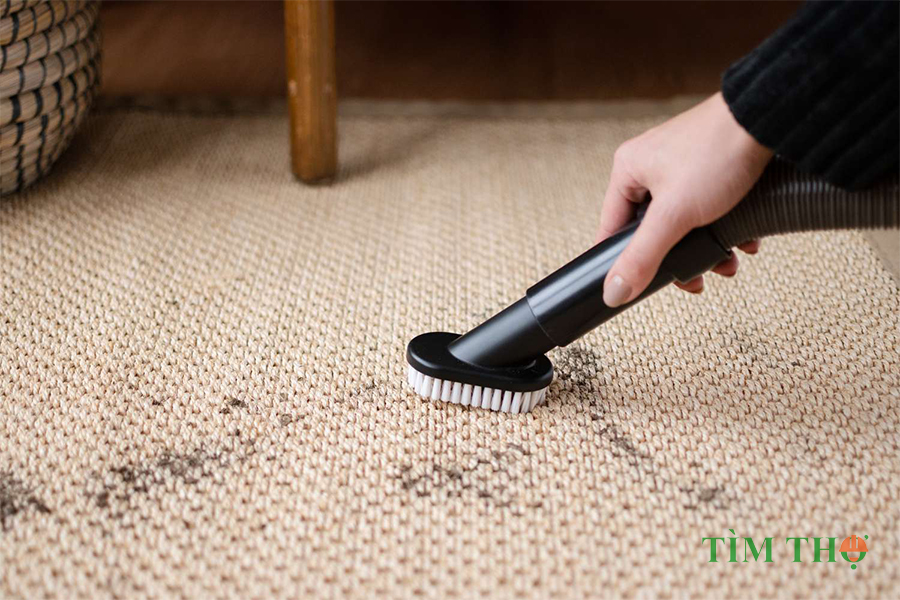 Các phương pháp tốt nhất để làm sạch thảm sisal
